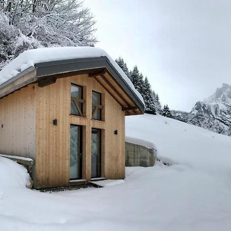 Chalet*** Au Pied D'Une Prairie Face A La Montagne Sixt 外观 照片