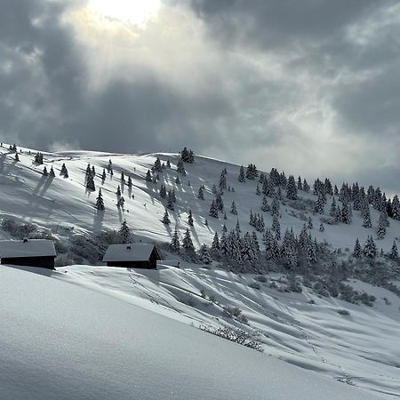 Chalet*** Au Pied D'Une Prairie Face A La Montagne Sixt 外观 照片