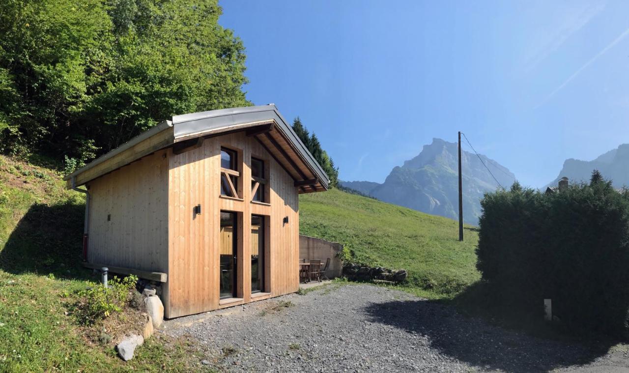 Chalet*** Au Pied D'Une Prairie Face A La Montagne Sixt 外观 照片