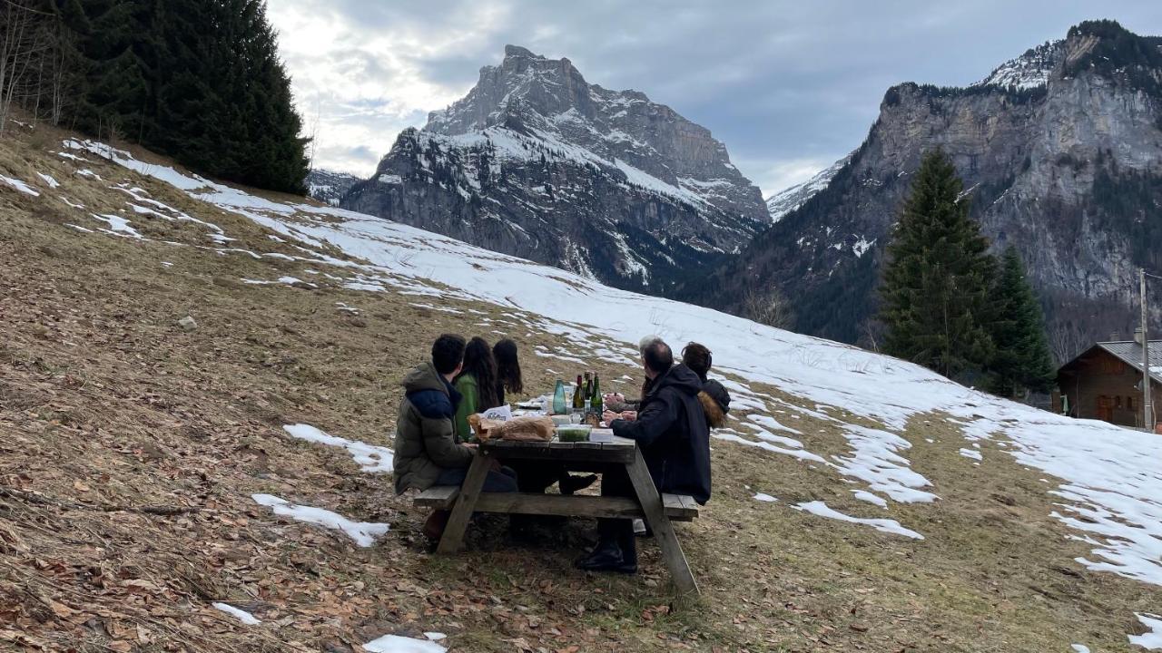 Chalet*** Au Pied D'Une Prairie Face A La Montagne Sixt 外观 照片