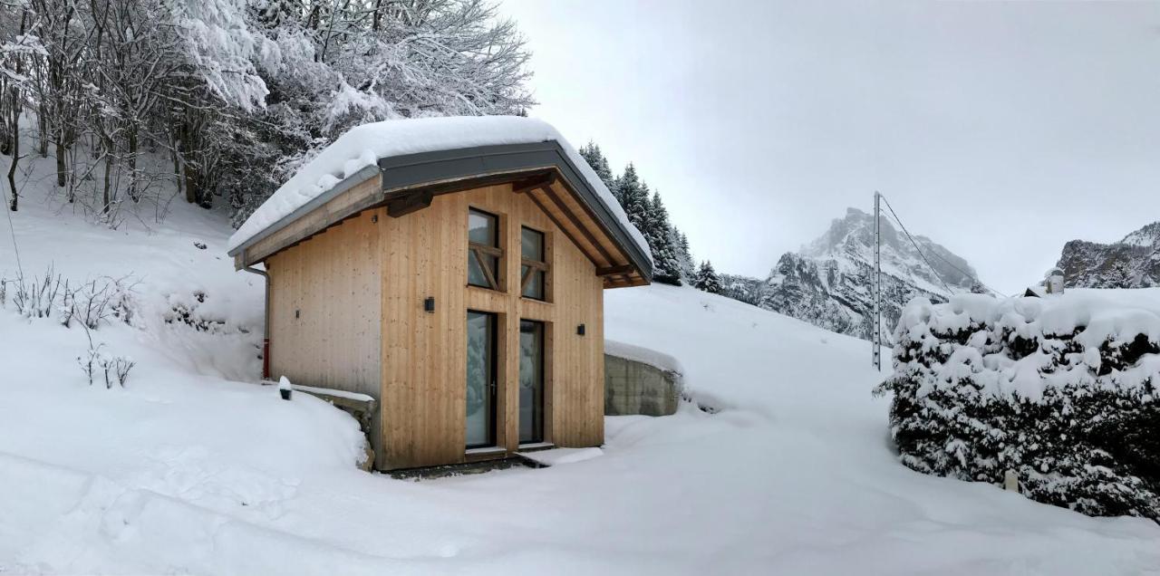 Chalet*** Au Pied D'Une Prairie Face A La Montagne Sixt 外观 照片