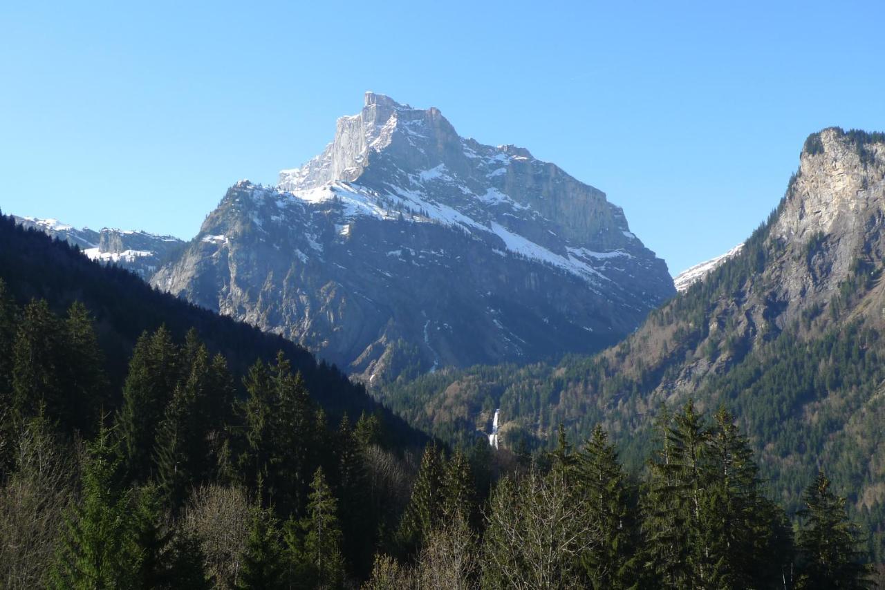 Chalet*** Au Pied D'Une Prairie Face A La Montagne Sixt 外观 照片