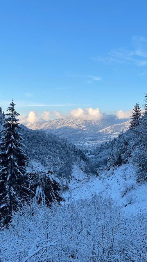 Chalet*** Au Pied D'Une Prairie Face A La Montagne Sixt 外观 照片