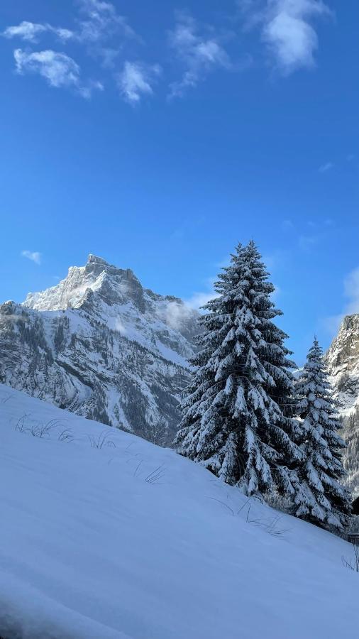 Chalet*** Au Pied D'Une Prairie Face A La Montagne Sixt 外观 照片