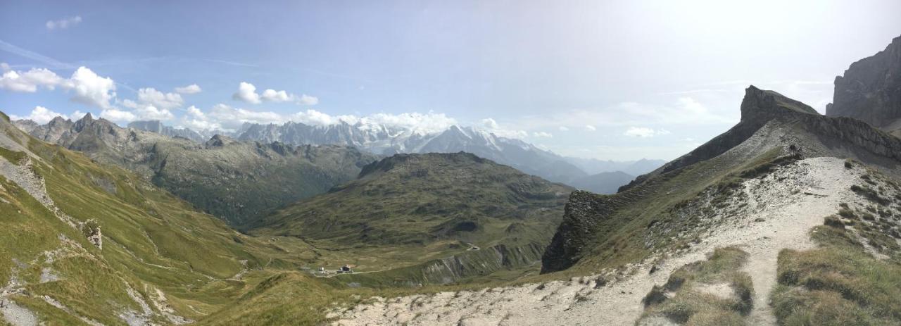 Chalet*** Au Pied D'Une Prairie Face A La Montagne Sixt 外观 照片