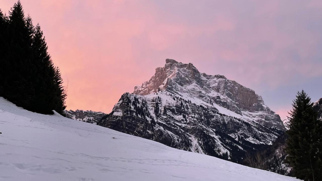 Chalet*** Au Pied D'Une Prairie Face A La Montagne Sixt 外观 照片