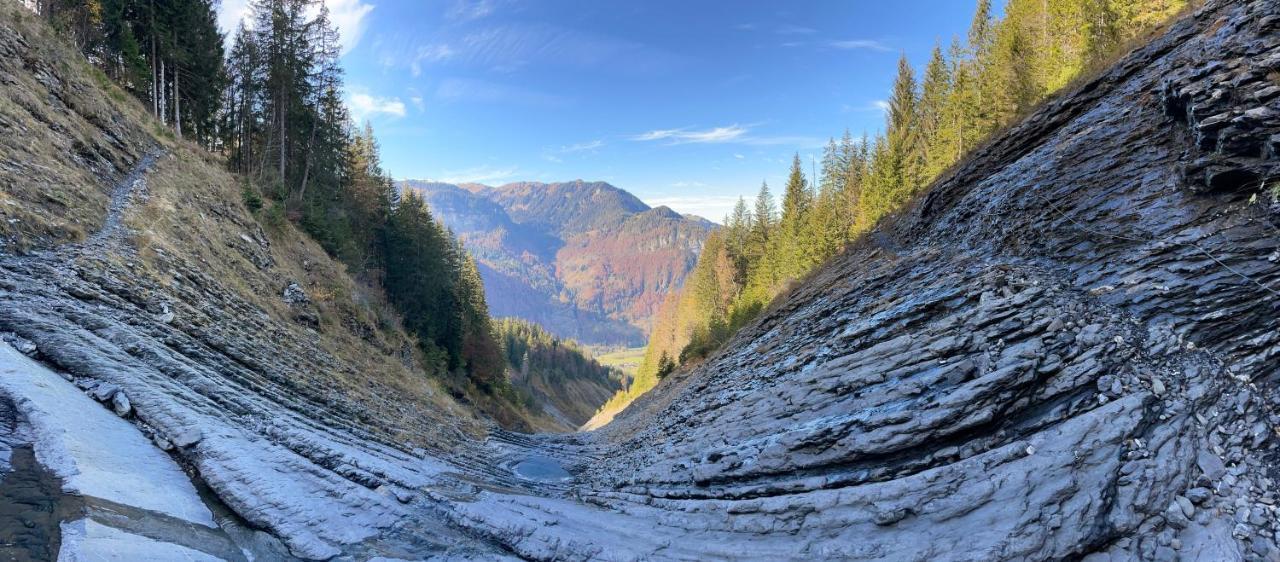 Chalet*** Au Pied D'Une Prairie Face A La Montagne Sixt 外观 照片