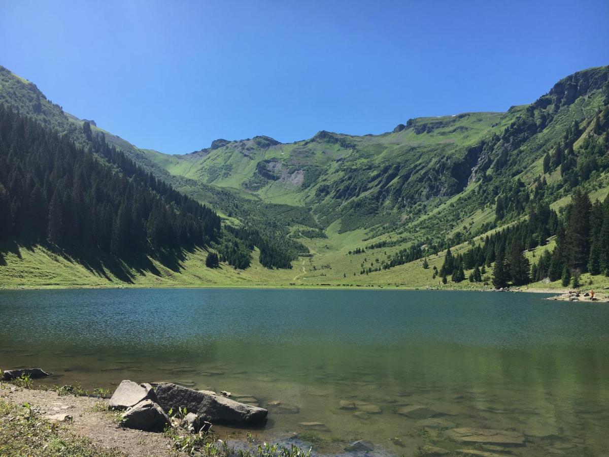 Chalet*** Au Pied D'Une Prairie Face A La Montagne Sixt 外观 照片