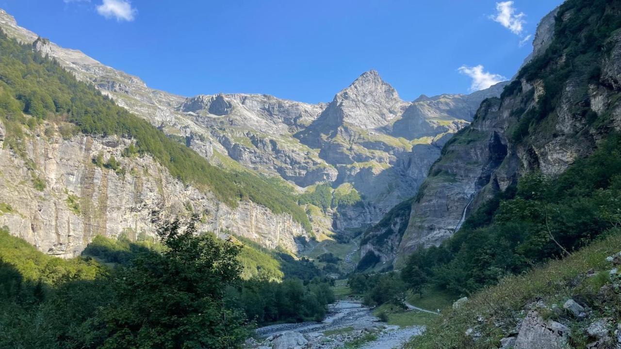 Chalet*** Au Pied D'Une Prairie Face A La Montagne Sixt 外观 照片