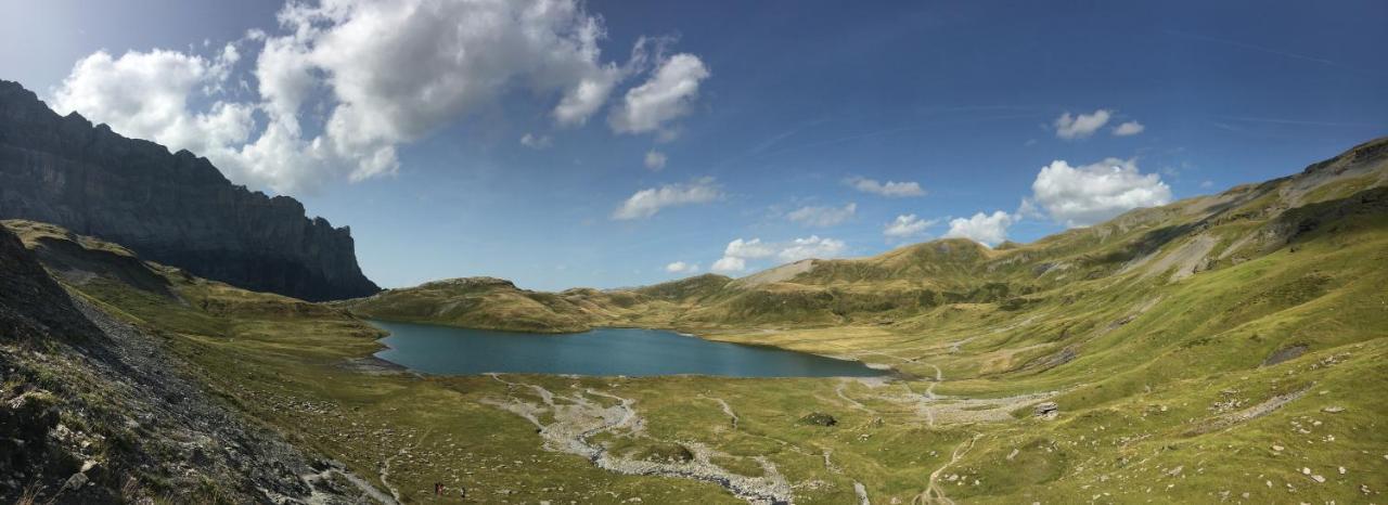 Chalet*** Au Pied D'Une Prairie Face A La Montagne Sixt 外观 照片