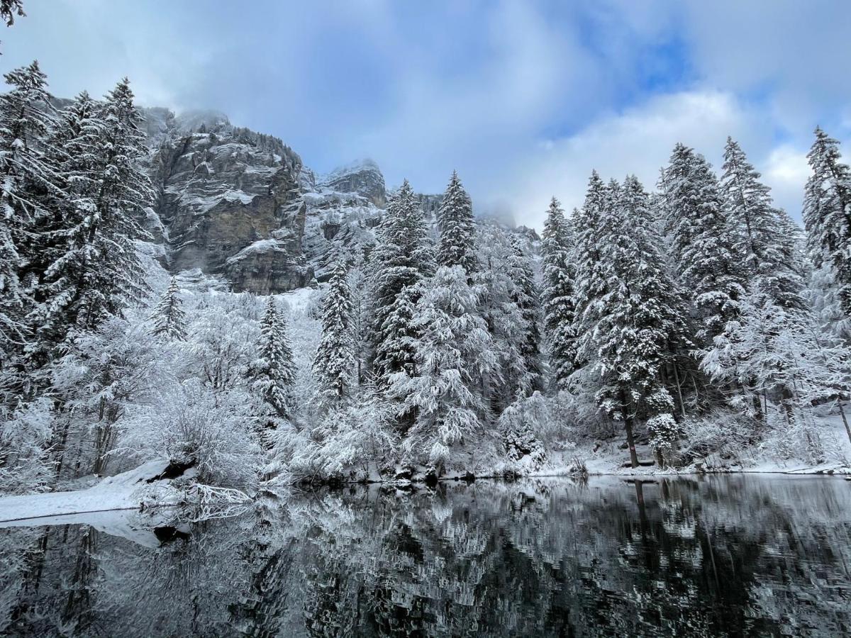 Chalet*** Au Pied D'Une Prairie Face A La Montagne Sixt 外观 照片