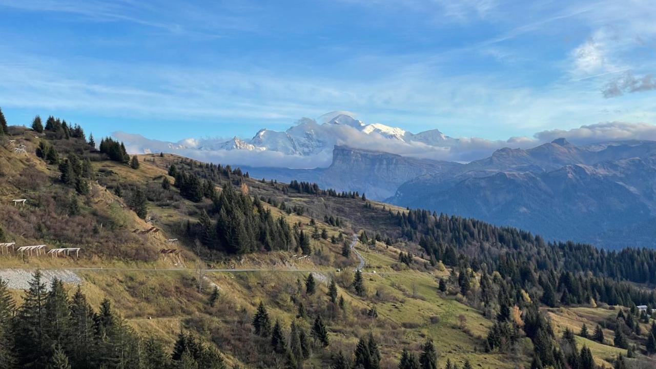 Chalet*** Au Pied D'Une Prairie Face A La Montagne Sixt 外观 照片