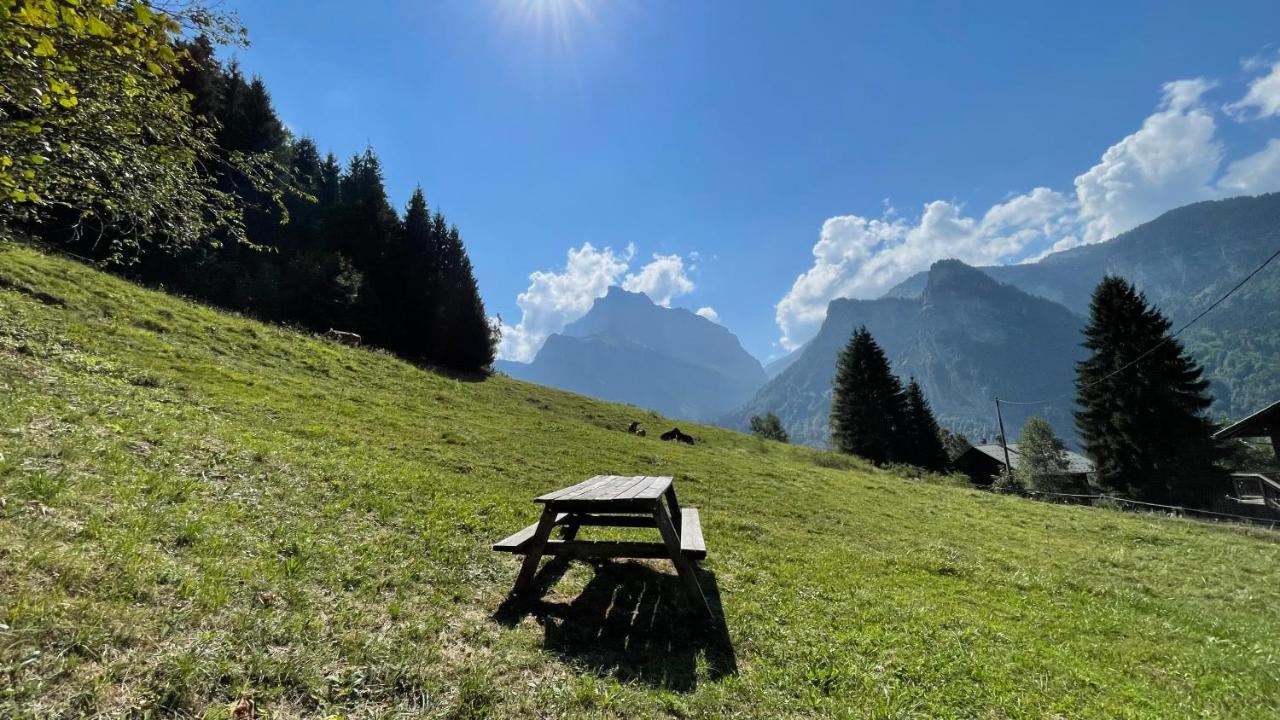 Chalet*** Au Pied D'Une Prairie Face A La Montagne Sixt 外观 照片
