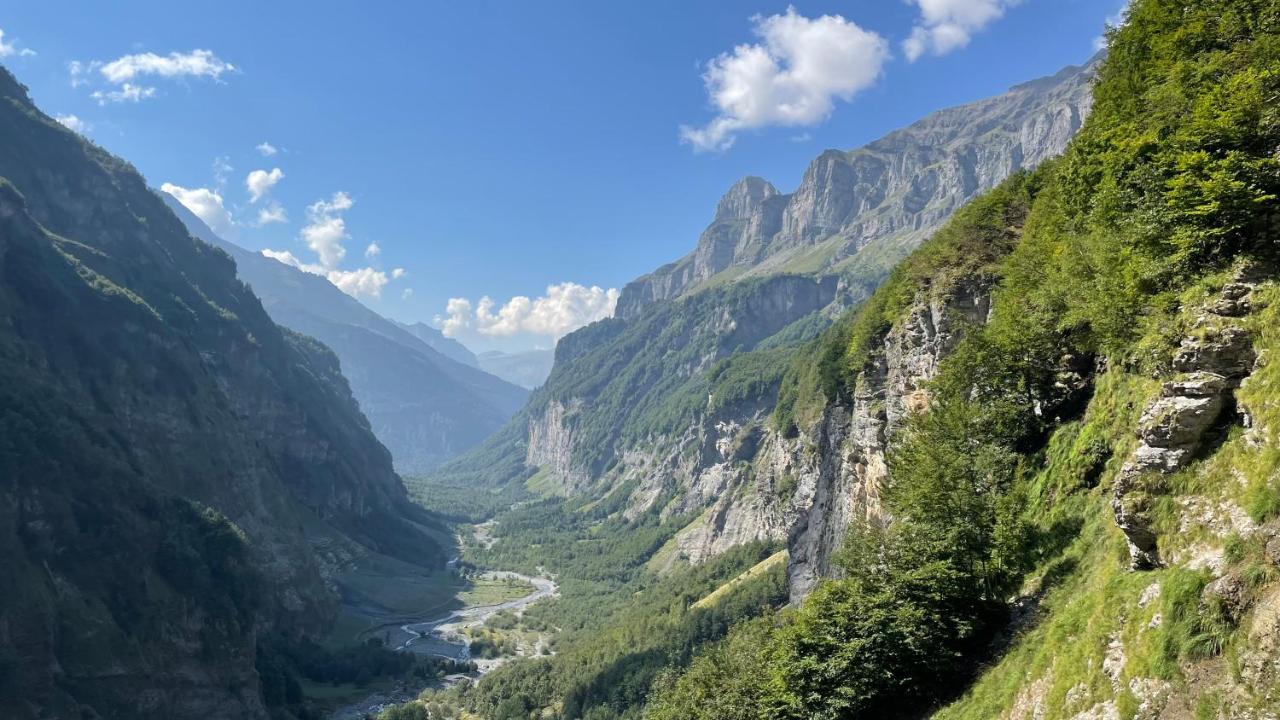 Chalet*** Au Pied D'Une Prairie Face A La Montagne Sixt 外观 照片