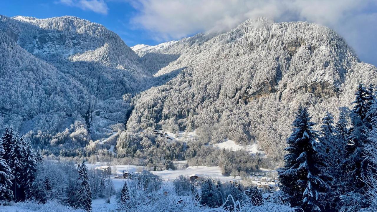 Chalet*** Au Pied D'Une Prairie Face A La Montagne Sixt 外观 照片